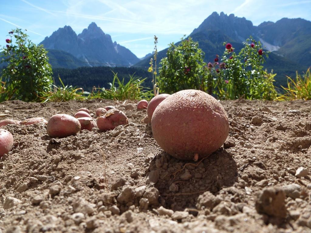Oberpapping Apartment San Candido